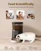 Balimo Automatischer Futterautomat für Katzen und Hunde, Produktbild-Vorschau 4