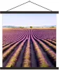 MuchoWow® Textilposter Lavendelfelder in der Provence in Produktbild-Vorschau 1