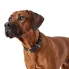 Hunter Halsband Sansibar Solid, Größe:55, Farbe:schwarz Produktbild-Vorschau 7