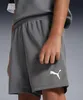 PUMA Unisex Baby Teamrise Jr Shorts, Smoked Pearl-puma Produktbild-Vorschau 6