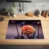 KitchenYeah© Herdabdeckplatte Blumen - Chrysantheme - Makro Produktbild-Vorschau 2