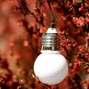 A white light bulb with a silver base hangs from a wire, surrounded by red and orange foliage. Náhľad obrázku produktu