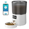 Distributeur automatique de nourriture pour animaux 4 L, Voir les images du produit 3