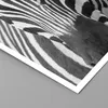 Poster - Poster ohne Rahmen - Tiere Zebra gestreift - 60x60 Produktbild-Vorschau 2