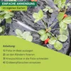 Windhager Gartenfolie Mulchfolie für Erdbeeren Schwarz 1.5 Produktbild-Vorschau 4
