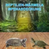 Wärmelampe, Reptilien-Terrarium-Licht, 50 W, Produktbild-Vorschau 4