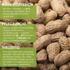Erdnuss Samen (Arachis hypogeae) - Nährstoffreiches Erdnuss Produktbild-Vorschau 2