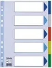 Esselte 15259 Indice - bianco, A4, PP, 5 parti + foglio di Anteprima dell’immagine prodotto 2