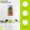 ARTland Wandbild, selbstklebend Olivenbaum Größe: 30x60 cm Produktbild-Vorschau 3