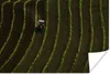 MuchoWow® Poster Traktor - Landwirtschaft - Weinbau 30x20 Produktbild-Vorschau 1