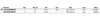 Daiwa Crosscast Scw 24 Surfcasting-rolle Silber 5000CQD Produktbild-Vorschau 2