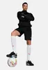 Puma Teamrise Polyesterjacke Herren - Schwarz Produktbild-Vorschau 4