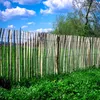 A wooden fence in a grassy field under a blue sky with clouds. Produktbild-Vorschau