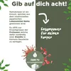 Nattokinase | 20.000 FU/G | 365 Kapseln Produktbild-Vorschau 5