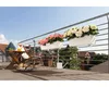 LECHUZA Bac à plantes BALCONERA Color 80 Blanc | Bac à Voir les images du produit 14