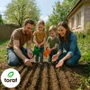 Toraf semená zeleniny XXL set 2500 semien 12 druhov šalát Náhľad obrázku produktu 6
