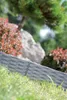 KAXL Plastový zahradní obrubník 3,9m, 187mm IBRA GARDEN Náhled obrázku produktu 7