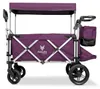 FUXLIFE by FUXTEC Bollerwagen FX-CTL950 Purpur - Premium Produktbild-Vorschau 1