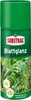 Substral Blattglanz Spray 200  ml Produktbild-Vorschau 1