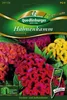 Hahnenkamm Mischung | Blumensamen von Quedlinburger Produktbild-Vorschau 1