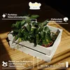 A white wooden crate filled with green plants, placed on a wooden floor, with marketing text and graphics overlaid. Produktbild-Vorschau