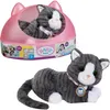 Zapf Creation BABY born My cat Cookie z pudełkiem Podgląd zdjęcia produktu 1