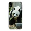 MuchoWow® Handyhülle Schutzhülle Hülle für iPhone Xs Panda Produktbild-Vorschau 1