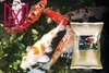 Garten Fischfutter für Koi Karpfen Mersjo Pond pellet MIX Produktbild-Vorschau 6