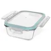 A clear studio shot of a glass food storage container with a blue-green gasket and clear locking lid. Produktbild-Vorschau