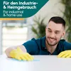 INOX® Waschbenzin 4x5L - Reinigungsbenzin Spezial Reiniger Produktbild-Vorschau 5