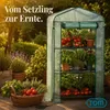 TOM Folien Gewächshaus | 0,3 m² | 140g/m² | Produktbild-Vorschau 11