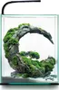 A small aquarium with a decorative rock formation covered in moss and a light fixture above. Anteprima dell’immagine prodotto