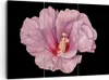 Bild auf Leinwand - Leinwandbild - 3 Teile - Hibiskus Blume Produktbild-Vorschau 1