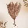 LAYBA Künstliches Pampasgras 3er-Set Braun 100 cm, 18 Produktbild-Vorschau 3