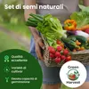 Toraf Semi Ortaggi, 20 Varietà, Kit per Orto, Giardino e Anteprima dell’immagine prodotto 2