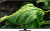 Samsung GQ-65QN85D QLED-Fernseher 163 cm (65 Zoll), Produktbild-Vorschau 8