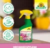 Neudorff OrchideenPflege Spray 250 ml Produktbild-Vorschau 5