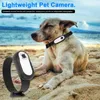 A dog wearing a camera collar on a beach. Náhled obrázku produktu