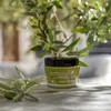 Beurre corporel Olive Spa Marvelouse 250ml Voir les images du produit 2