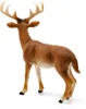 Schleich WL Cervo dalla coda bianca 14818 (14818) Anteprima dell’immagine prodotto 5