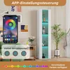 Nowoczesna witryna LED z sterowaniem za pomocą aplikacji, Podgląd zdjęcia produktu 8