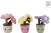 Van Manen Veenendaal b.v. Pluchen bloemen, "Take Me Home" Productafbeelding-voorbeeld 2
