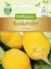 Runkelrübe Eckdogelb | Runkelrüben- & Futterrübensamen von Produktbild-Vorschau 3