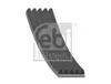 FEBI BILSTEIN Keilrippenriemen 1237mm für HYUNDAI i10 (PA) Produktbild-Vorschau 2