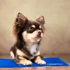 Relaxdays Kühlmatte Hund, selbstkühlend, abwischbar, Produktbild-Vorschau 2