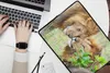 MuchoWow® Laptop Hülle 15 Zoll Löwen - Gras - Tiere Produktbild-Vorschau 2