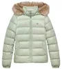 TOMMY JEANS BASIC HOODED DOWN JA Grün Produktbild-Vorschau 1