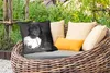 MuchoWow® Outdoor Kissen - Hunde - Welpe - Schwarz - Weiß - Produktbild-Vorschau 3