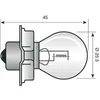 S3 PHILIPS Lampen Autolampen 12V 15W 12008C1 Produktbild-Vorschau 3