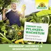 Neudorff NeudoHum Hochbeet und GewächshausErde kräftige Produktbild-Vorschau 6